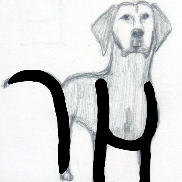 개, dog, 'gae'